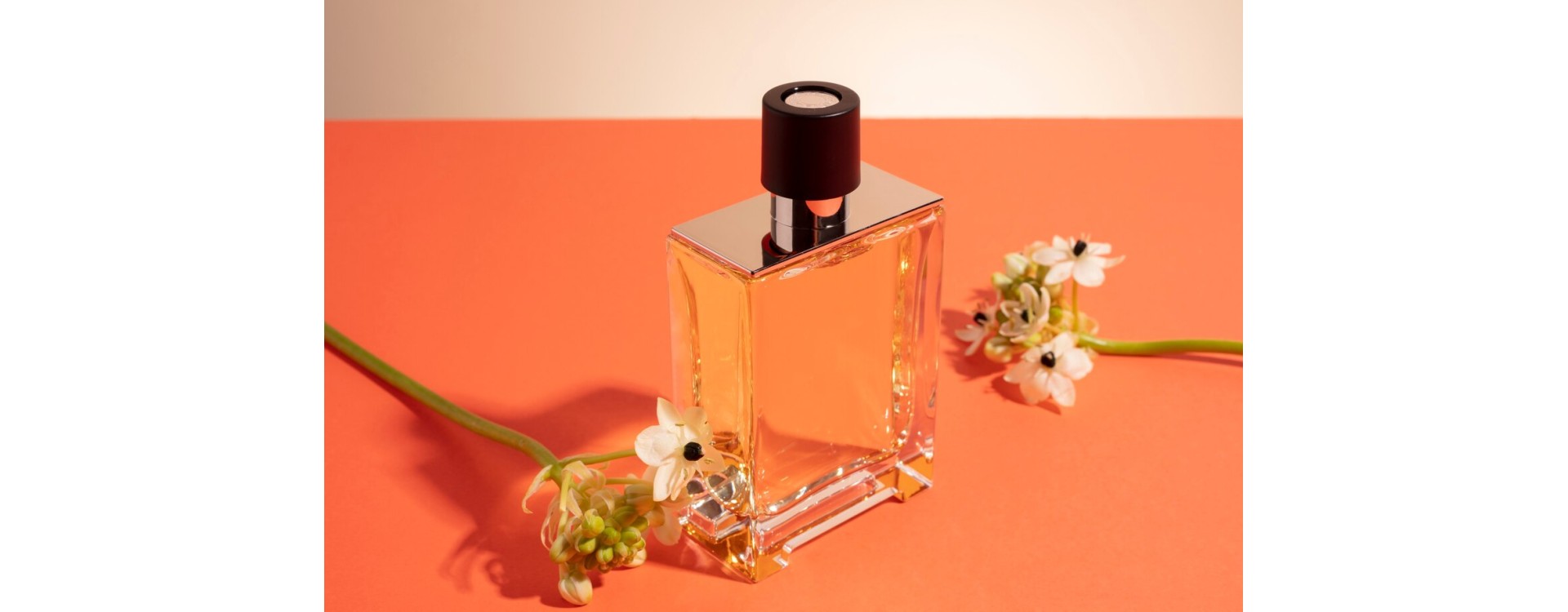 Tendances actuelles des parfums mixtes